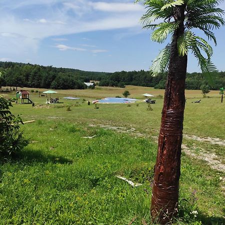 Stadnina koni Tarka Zwierzyniec Esterno foto