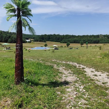Stadnina koni Tarka Zwierzyniec Esterno foto