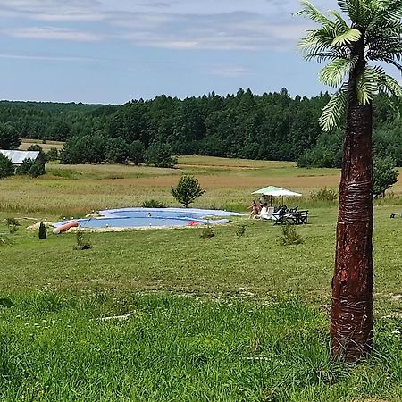 Stadnina koni Tarka Zwierzyniec Esterno foto