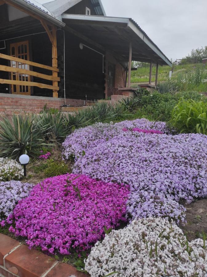 Stadnina koni Tarka Zwierzyniec Esterno foto