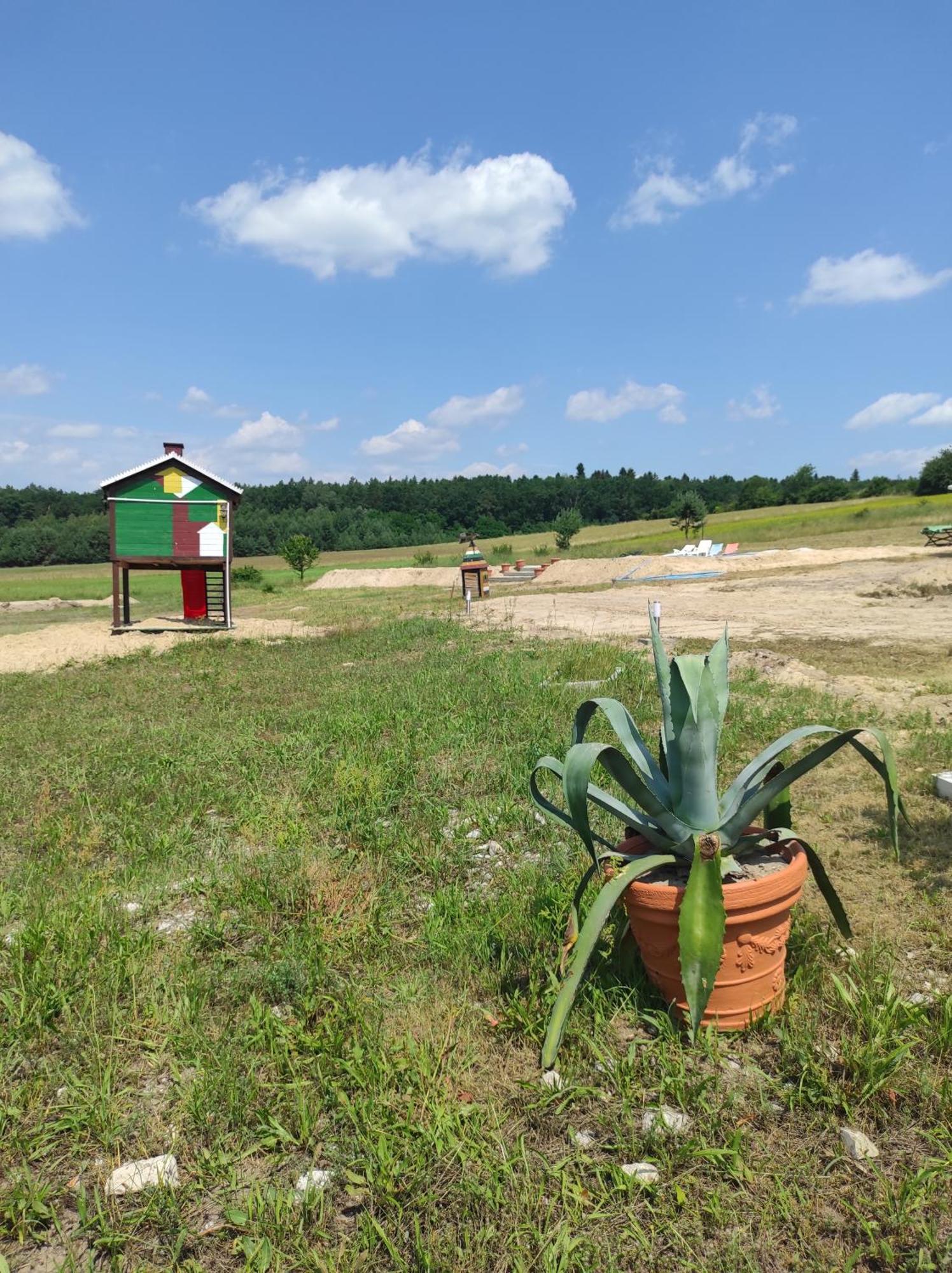 Stadnina koni Tarka Zwierzyniec Esterno foto
