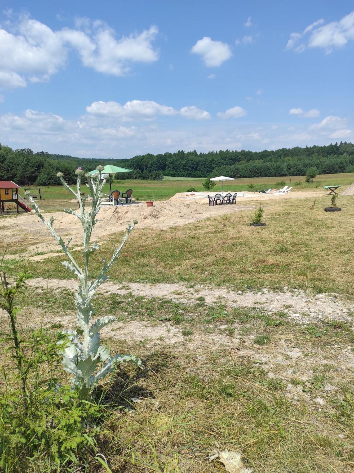 Stadnina koni Tarka Zwierzyniec Esterno foto