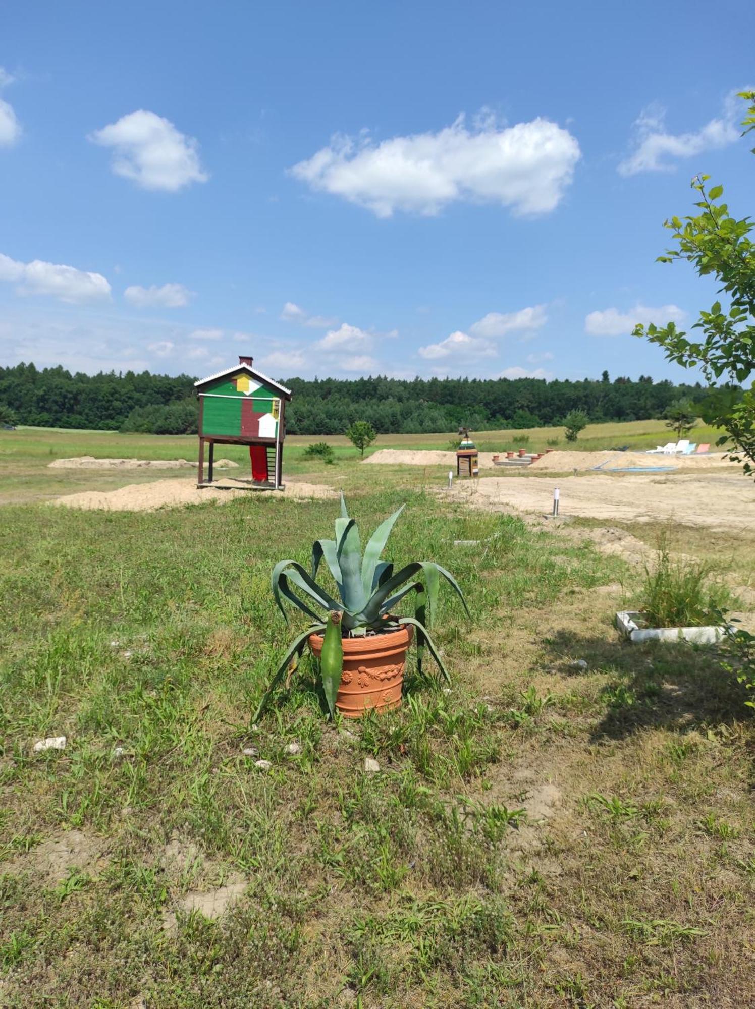Stadnina koni Tarka Zwierzyniec Esterno foto