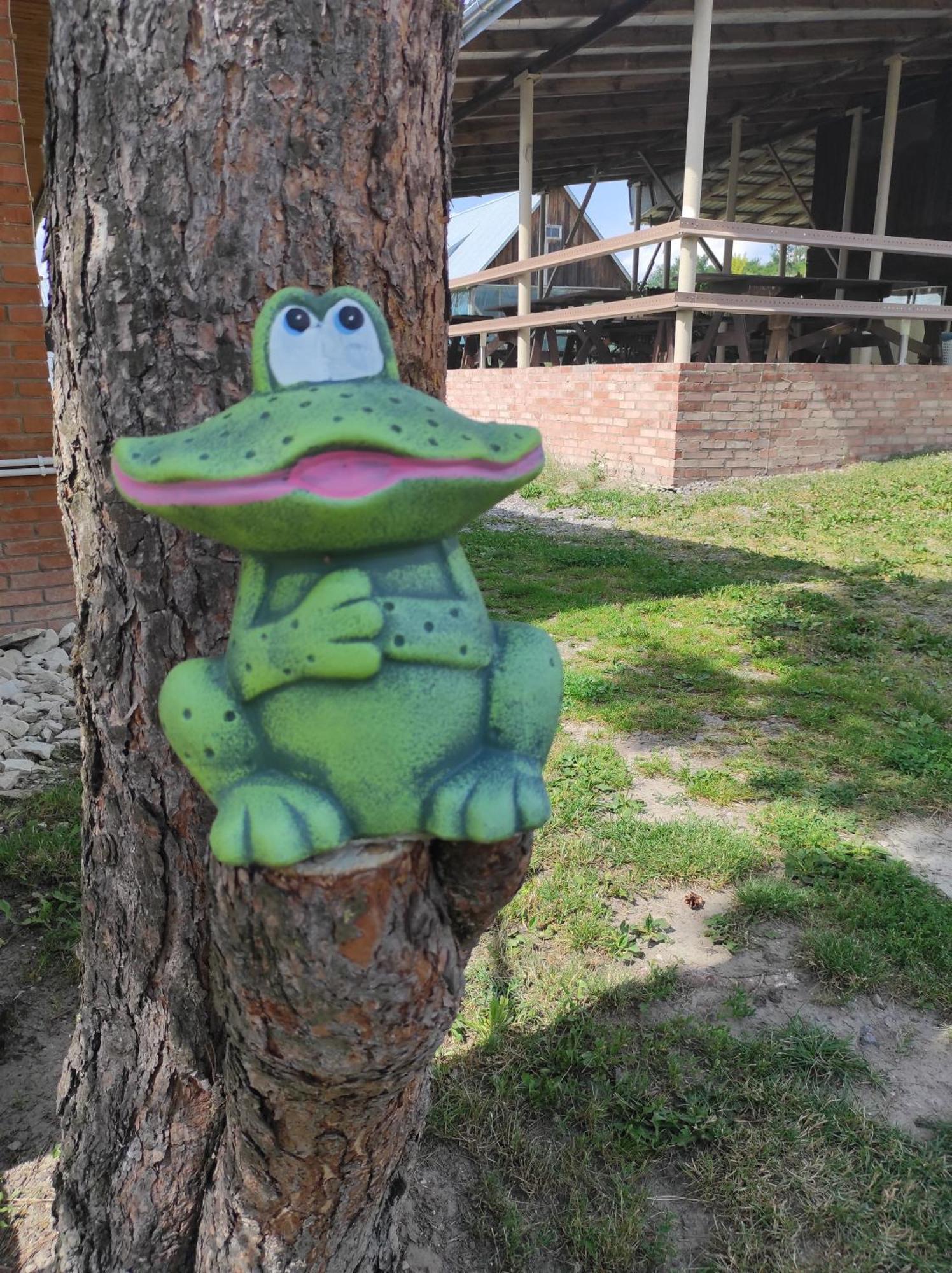 Stadnina koni Tarka Zwierzyniec Esterno foto