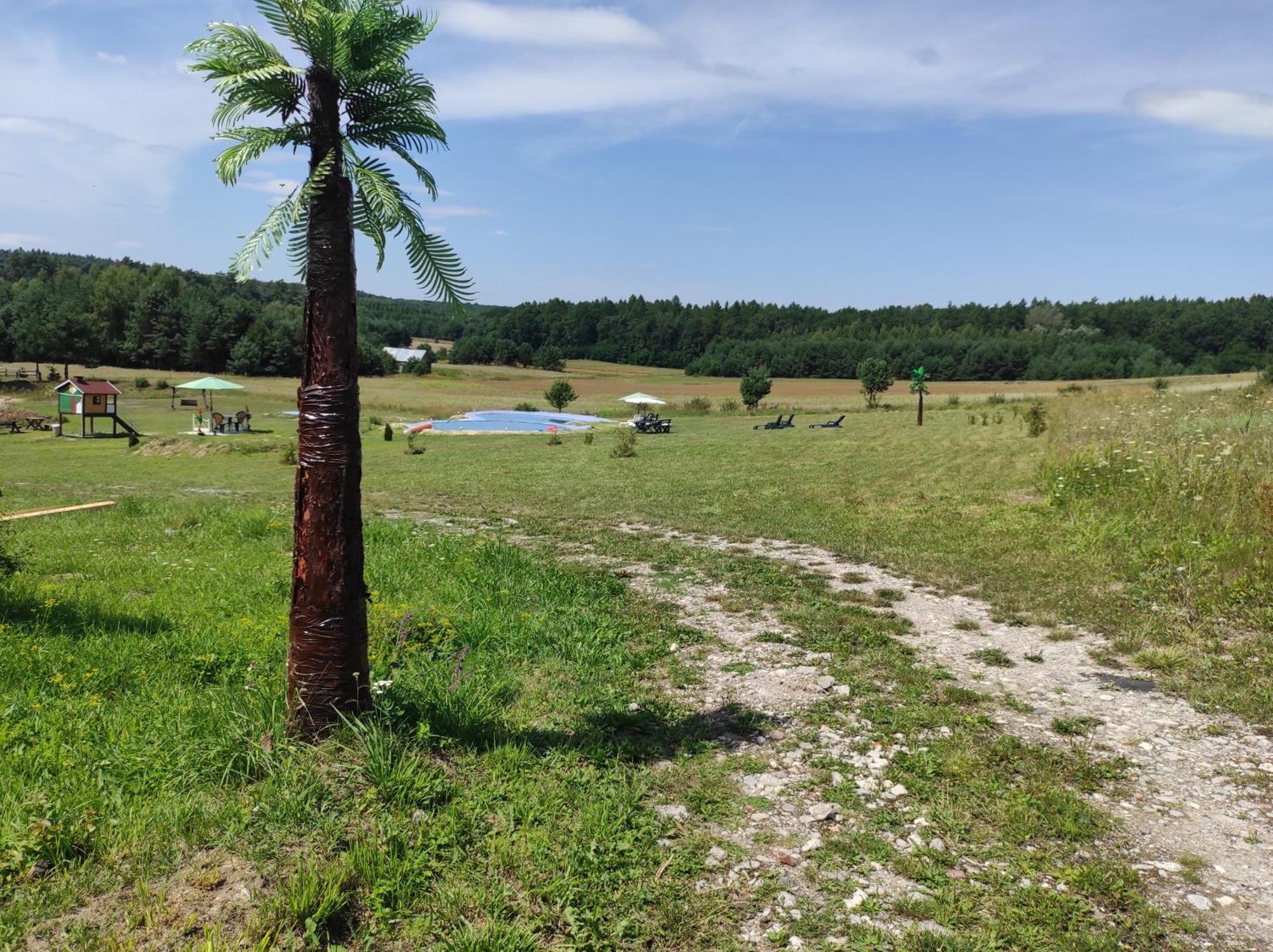 Stadnina koni Tarka Zwierzyniec Esterno foto
