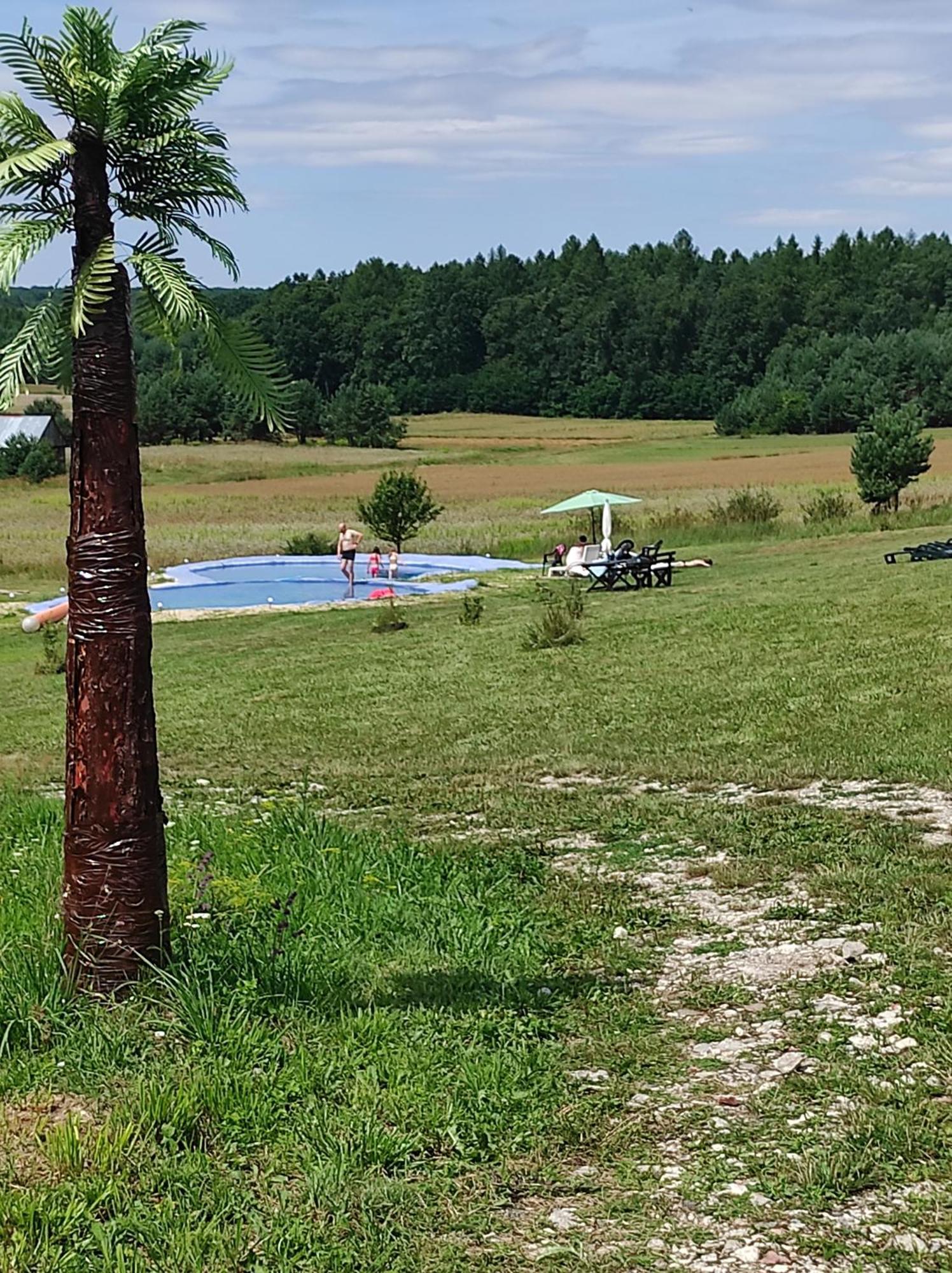 Stadnina koni Tarka Zwierzyniec Esterno foto