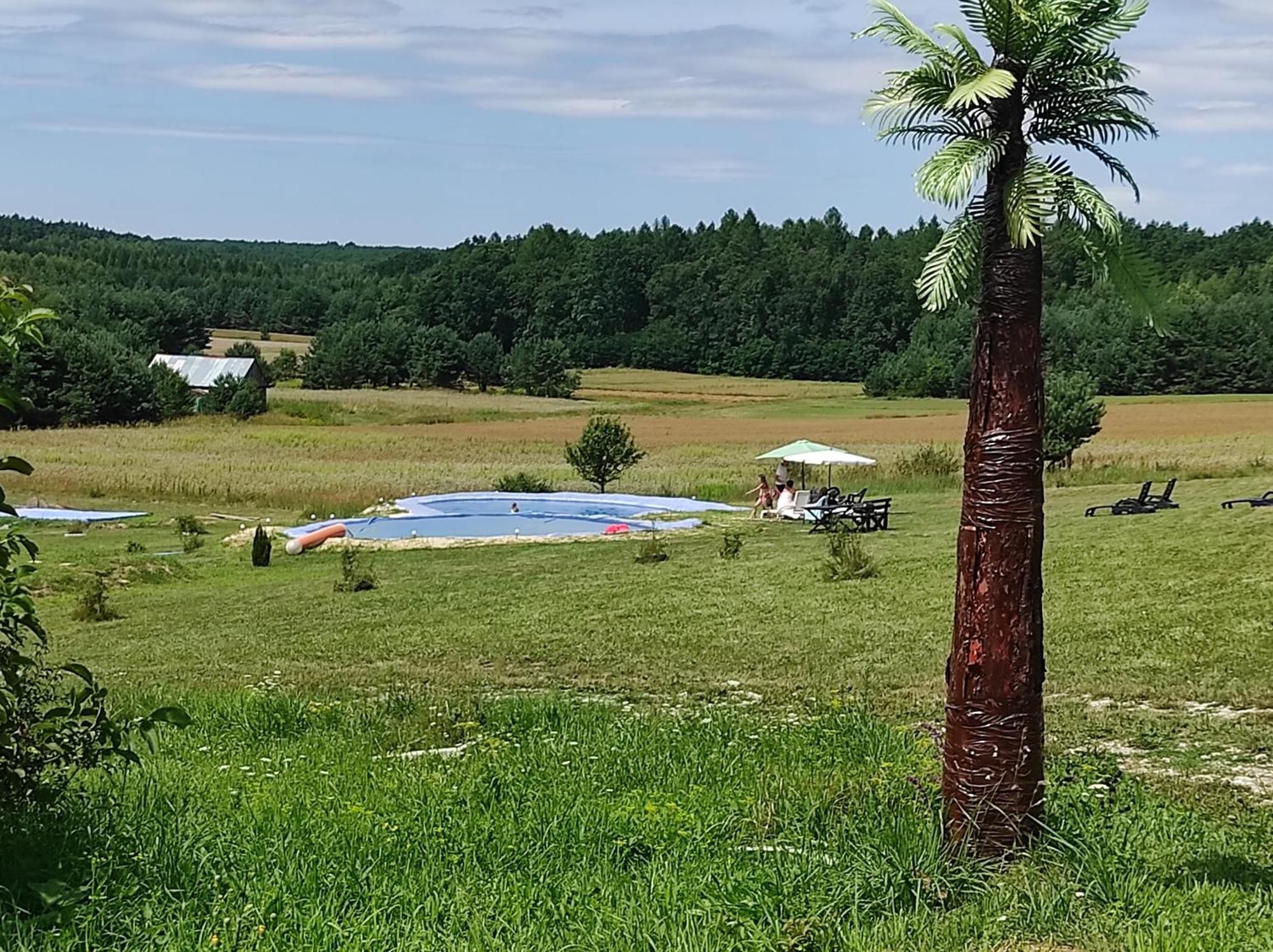 Stadnina koni Tarka Zwierzyniec Esterno foto