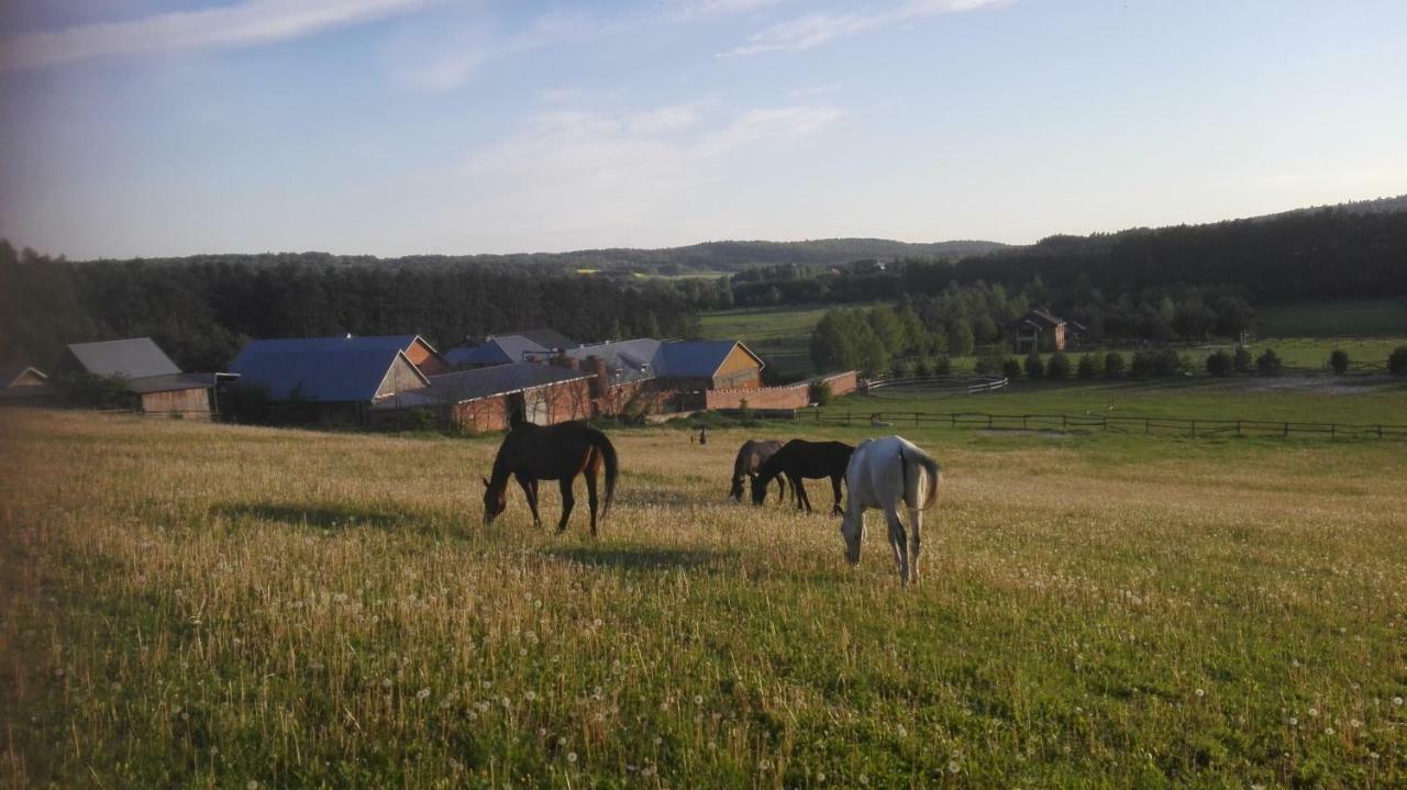 Stadnina koni Tarka Zwierzyniec Esterno foto