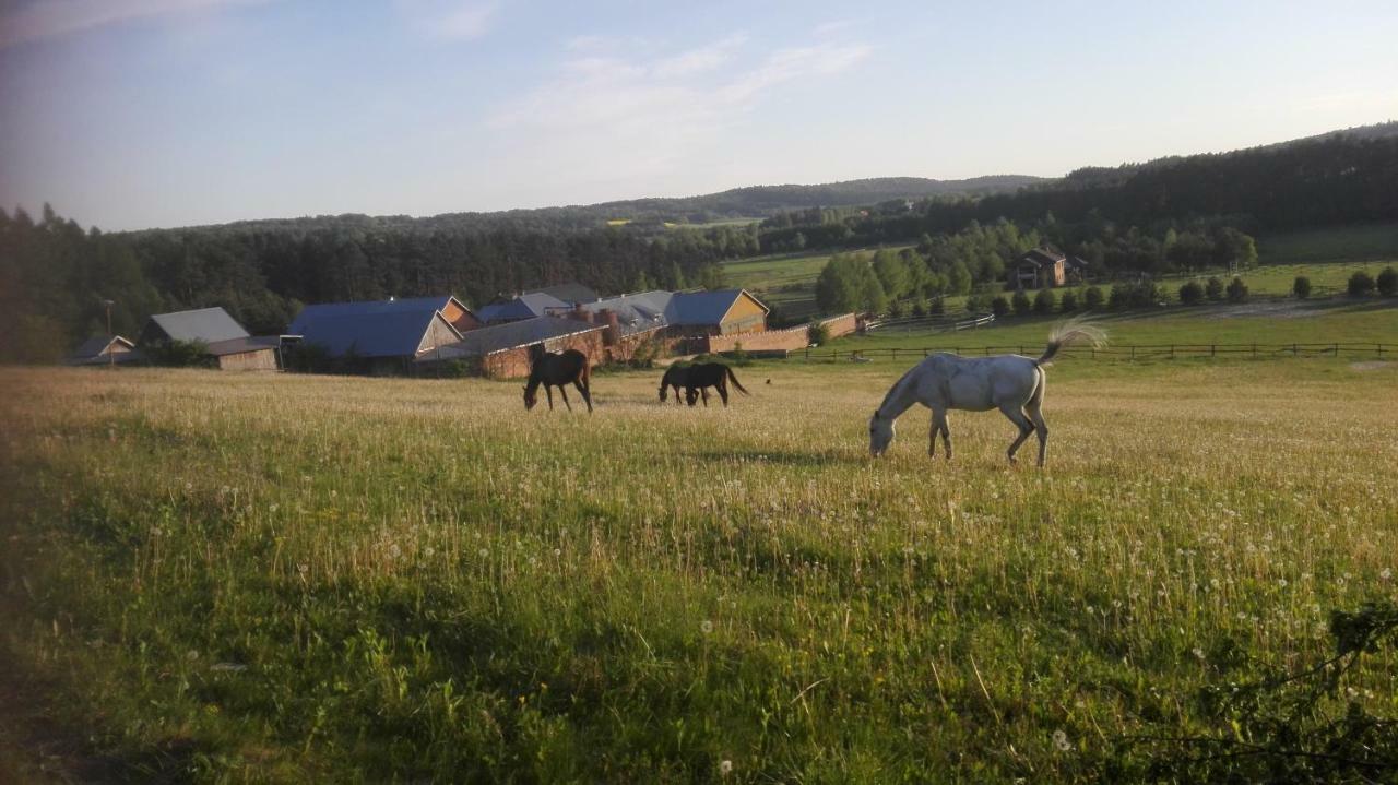 Stadnina koni Tarka Zwierzyniec Esterno foto